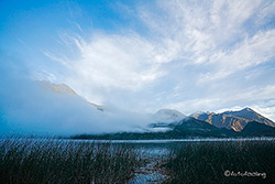Morgenstimmung am Lago Blanco - Park Pumalin