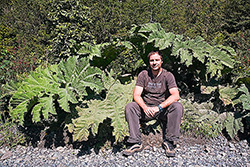 Chris unter den Pangue-Pflanzen