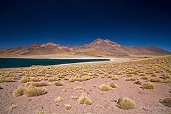 Laguna Miscanti