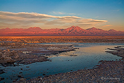 Laguna Chaxa und die Andenkette