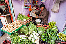 Gemüsehändler, Old Delhi
