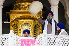 Priester rezitieren ununterbrochen in Gurmukhi aus dem heiligen Buch der Sikhs