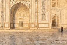 Detailreichtum am Taj Mahal