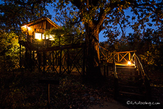 Unser Baumhaus, nachts im Tree House Hideaway