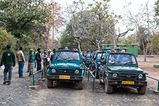jeder wartet brav in der Schlange, bis er in den Park darf, Bandhavgarh Nationalpark