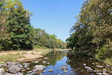 Flusslandschaft im Kanha Nationalpark