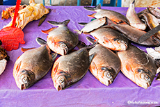 Fischmarkt in Coca, Ecuador