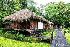 Bungalows der Sacha Lodge, Amazonas Gebiet, Ecuador