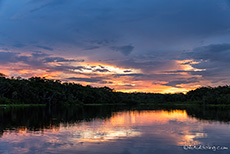 Sonnenuntergang über dem Pilchicocha-See, Sacha Lodge, Amazonas Gebiet, Ecuador