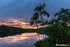 Sonnenuntergang über dem Pilchicocha-See, Sacha Lodge, Amazonas Gebiet, Ecuador