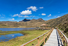 Laguna Limpiopungo und Rumiñahui Vulkan (Steingesicht), Cotopaxi Nationalpark