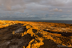 Die Sonne taucht alles nochmal in ein schönes warmes Licht, Prince Philip´s steps, Darwin Bay, Insel Genovesa, Galapagos Inseln