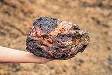 Lavagestein in Andrea´s Hand, Insel Bartolomé, Galapagos Inseln