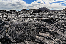 Lavafeld und Lavaformationen, Pāhoehoe-Lava, Sullivan Bay, Insel Santiago, Galapagos Inseln