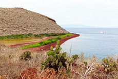 Lagune am roten Lavastrand, Insel Rábida, Galapagos Inseln