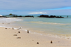Vorsicht, altes verostetes Metall im Sandstrand, Santa Cruz, Galapagos Inseln