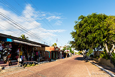 Straße in Puerto Ayora, Santa Cruz, Galapagos Inseln