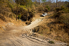 Leopard Hill Road
