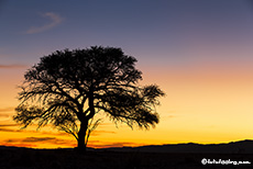 Wow, was für ein farbenfroher Sonnenuntergang über der Namib