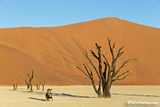 Andrea im Fotografenparadies, Deadvlei, Namib, Namibia