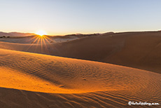 Das erste Licht in den Dünen ist traumhaft, Namib, Namibia