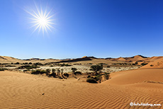 Die Namibwüste von ihrer schönsten Seite