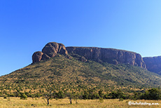 Heute geht es nicht ganz nach oben, Marakele Nationalpark, Südafrika