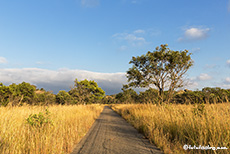 Zum Teil führen geteerte Pisten durch den Matobo Nationalpark, Zimbabwe