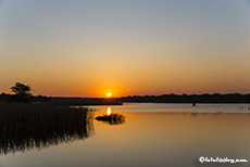 Sonnenuntergang am Damm, Imire Lodge, Zimbabwe
