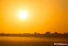 Sonnenuntergang, Central Kalahari Game Reserve, Botswana