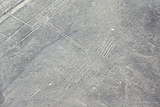 Der Kolibri, Nazcalinien, Nazca
