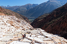 Arbeiter tragen die schweren Salzsäcke hoch, Salinas de Maras, Peru