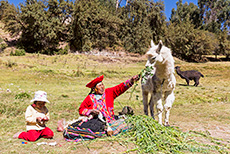 Peruanische Frau mit Lama