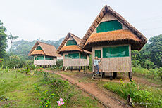Bamboo Lodge