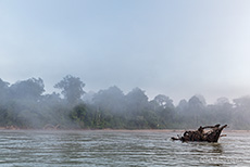 Nebel über dem Río Madre de Dios, Manu Nationalpark