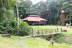 Biologische Station Pakitza, Manu Nationalpark