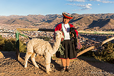 Peruanische Frau mit traditioneller Tracht und Alpaka